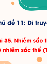 Bài 35. Nhiễm sắc thể và bộ nhiễm sắc thể (Tiết 1)